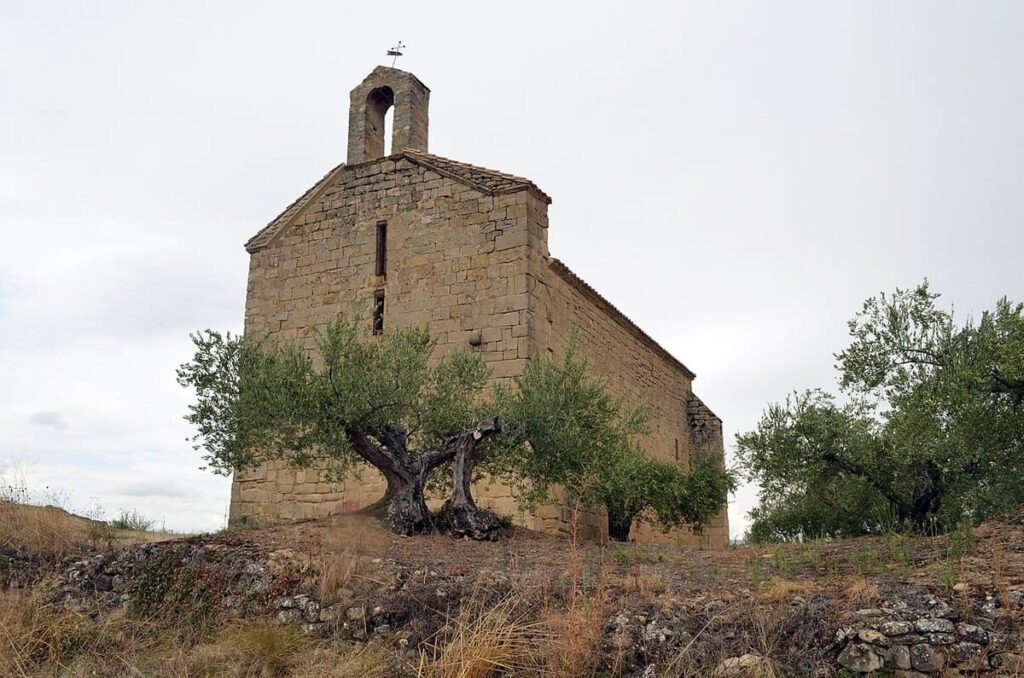 Estrategias de Desarrollo Rural y Repoblación de las Zonas Despobladas en Navarra